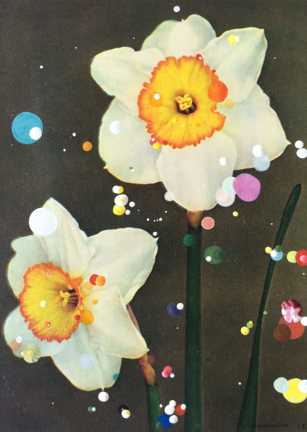 Sebastiaan Bremer, Narcissus Incomparabilis Monique, 2015, Unique hand-painted chromogenic print with mixed media, 18.5 x 13.5 cm, 7 1/4 x 5 1/4 in