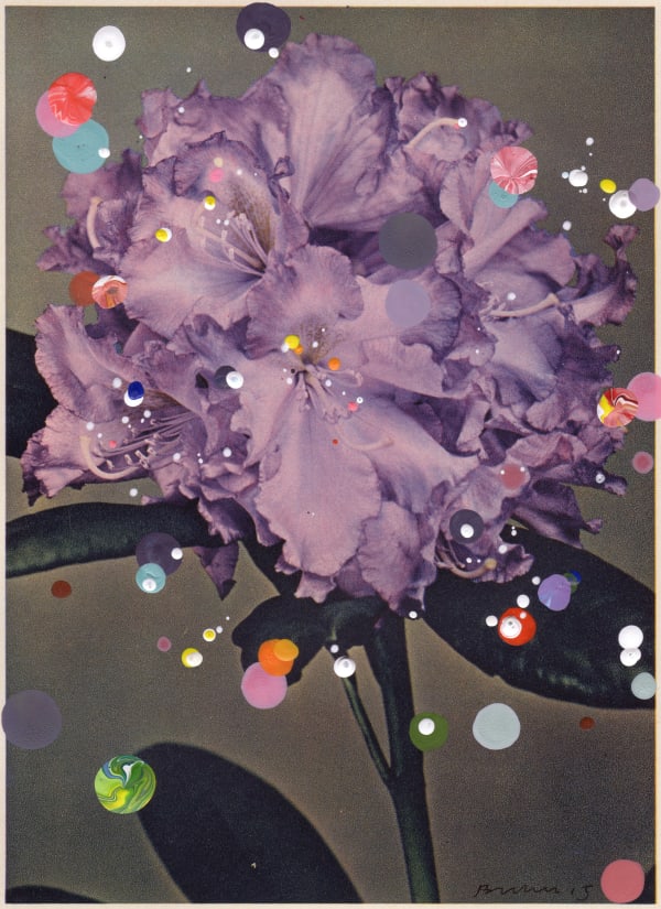 Sebastiaan Bremer, No. 49, Rhododendron Hybridum Schubert, 2015, Acrylic and ink on vintage lithograph, 18.5 x 13.5 cm, 7 1/4 x 5 1/4 in, Framed: 30.5 x 25 cm, 12 1/8 x 9 7/8 in