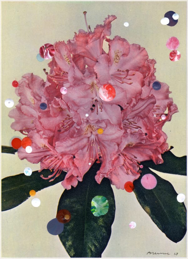 Sebastiaan Bremer, No. 54, Rhododendron Hybridum Marion, 2015, Acrylic and ink on vintage lithograph, 18.5 x 13.5 cm, 7 1/4 x 5 1/4 in, Framed: 30.5 x 25 cm, 12 1/8 x 9 7/8 in