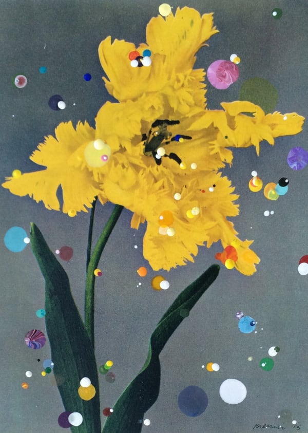 Sebastiaan Bremer, Parkiet Tulp Sunshine, 2015, Unique hand-painted chromogenic print with mixed media, 18.5 x 13.5 cm, 7 1/4 x 5 1/4 in, Framed: 30.5 x 25 cm, 12 1/8 x 9 7/8 in