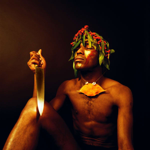 Rotimi Fani Kayode, Nothing To Lose Vii Bodies Of Experience, 1989