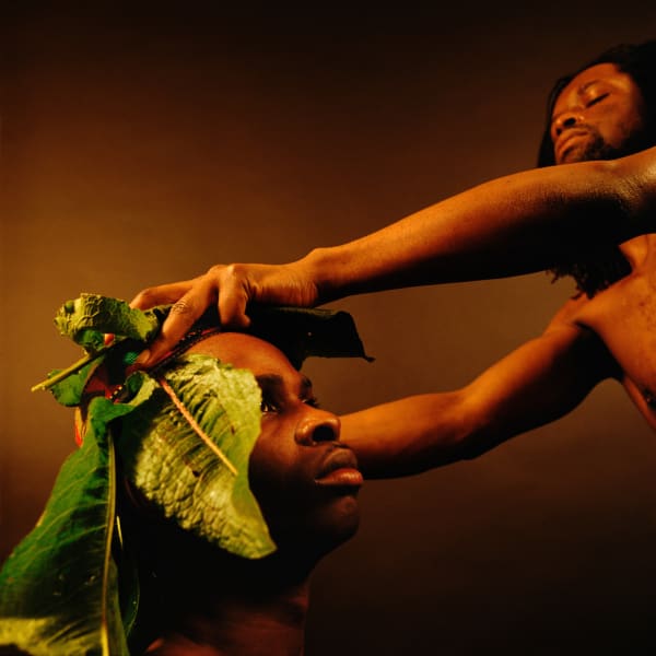 Rotimi Fani Kayode, Nothing To Lose Xiii Bodies Of Experience, 1989