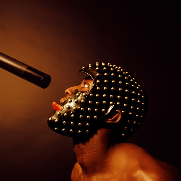 Rotimi Fani Kayode, Untitled Bodies Of Experience, 1989