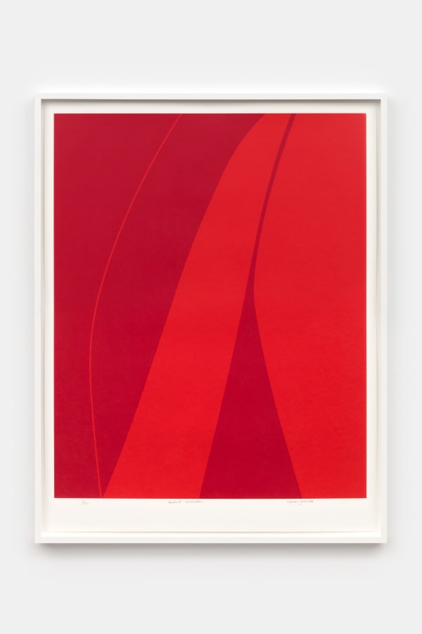 Virginia Jaramillo, Gradient Inclination, 2021