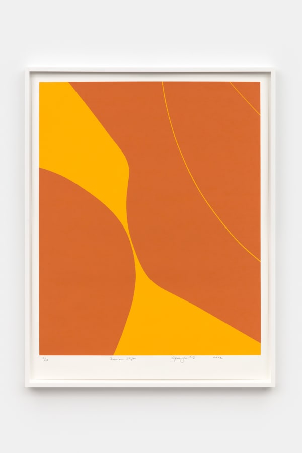 Virginia Jaramillo, Quantum Shift, 2022