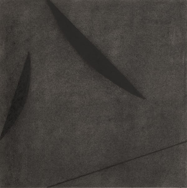 detail of Kay WalkingStick Black on Black 77S, 1977