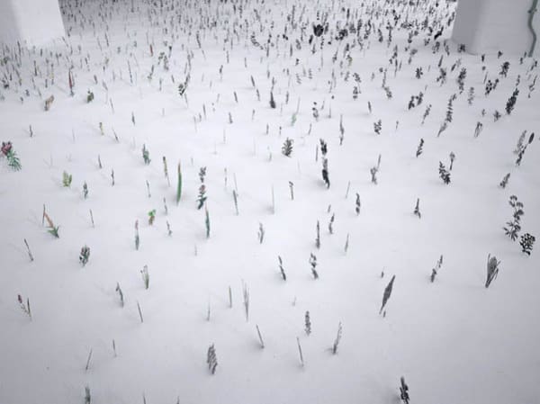 Zadok Ben David, Black Field, 2007, 3000 unique pieces, Hand painted, acid etched stainless steel and silicone sand, Overall dimensions vary with installation