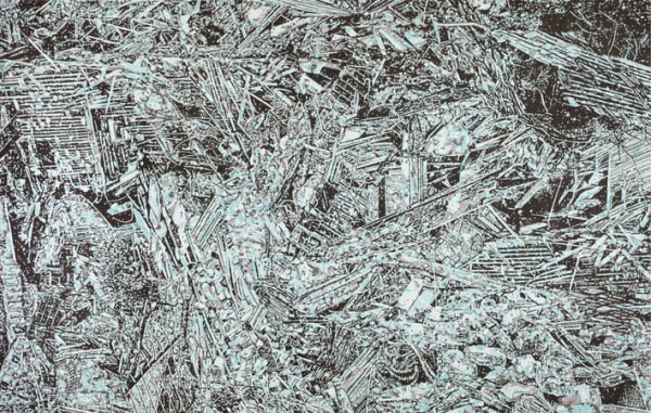 Roger Kelly, Wake, 2009