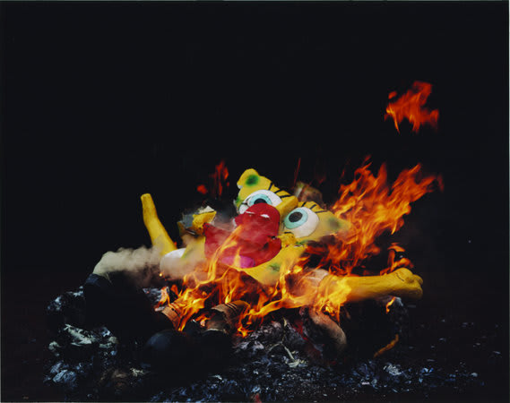 Trevor Appleson, 'Bob' Burnt at dusk, 2007, C-type print, 84 x 106 cm, 33.1 x 41.76 inches