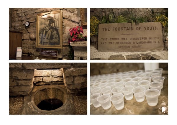 Michael Smith, Fountain of Youth State Park, Journey No. 1, 2012, Digital archival print, 61 x 93.5 cm, 24 1/8 x 36 3/4 in