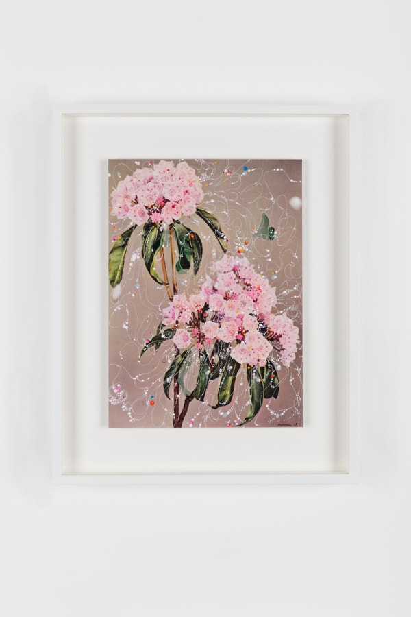Sebastiaan Bremer, Kalmia Latifolia Andrea, 2018, Archival inkjet pigment print on resin coated paper with hand additions in acrylic, photo retouch dye, and pigment pen, 27.9 x 20.3 cm, 11 x 8 in, Framed: 38.6 x 31.2 x 3.7 cm, 15 1/4 x 12 1/4 x 1 1/2 in