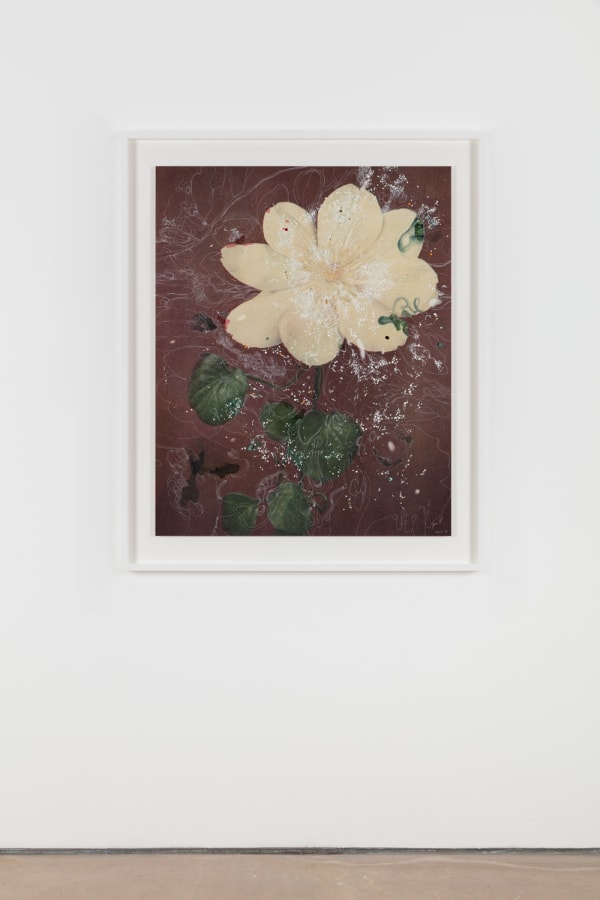 Sebastiaan Bremer, Clematis Hybrid Mevr. Le Feher Coutre, 2018, Archival inkjet pigment print on resin coated paper with hand additions in acrylic, photo retouch dye, and pigment pen, 108 x 86.4 cm, 42 1/2 x 34 1/8 in, Framed: 127.2 x 105.5 x 5 cm, 50 1/8