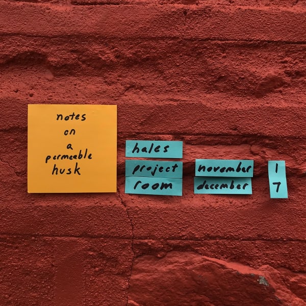 Press image for Notes on a Permeable Husk, Hales Project Room NYC, 2018