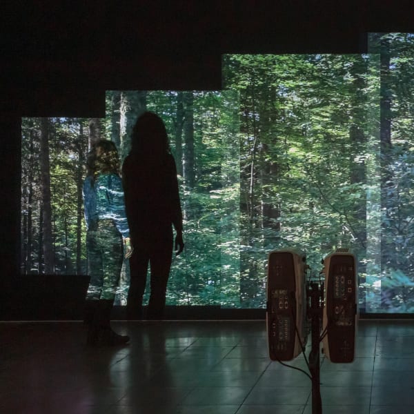 never yet, 2023, 6 channel video installation, sound (voice: Nancy Brooks Brody), Photo by JSP Art Photography.