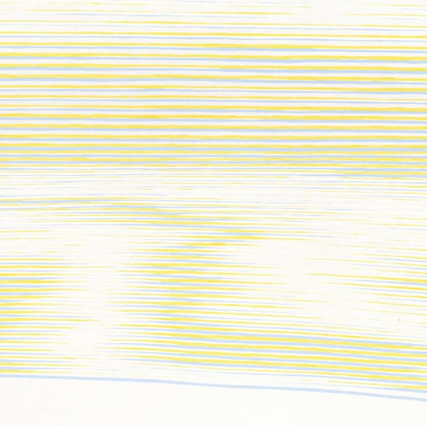 Detail of Noel Forster, Untitled, 1969, Acrylic on linen, 302 x 182 cm, 118 7/8 x 71 5/8 in