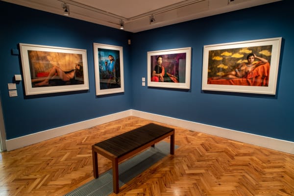 Install of Sunil Gupta, The New Pre-raphaelites, The Holborne Museum