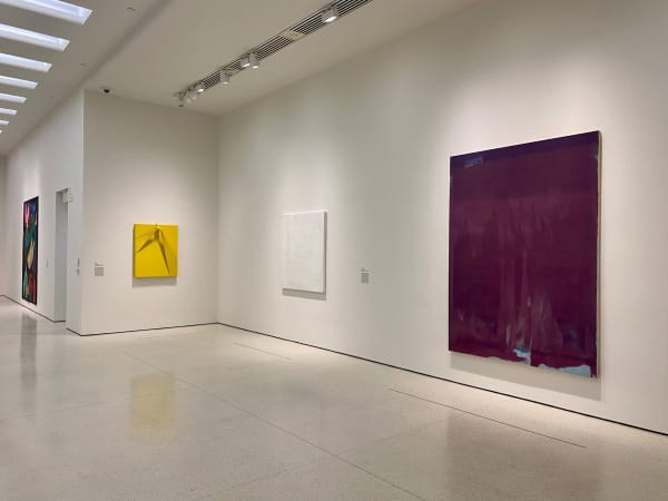 Installation view of Virginia Jaramillo, 'Birth of Venus' in Sensory Poetics: Collecting Abstraction, Museum of Modern Art, New York
