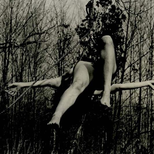 Carolee Schneemann, Study for Up To and Including Her Limits, 1973