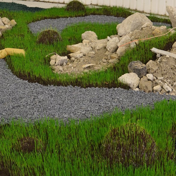 Rachael Champion, New Spring Gardens, 2016, Nine Elms Chelsea Fringe. Image courtesy of the Artist and Hales London New York. Photograph by Toni Marshall.