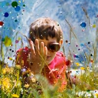 Sebastiaan Bremer | Sanctuary