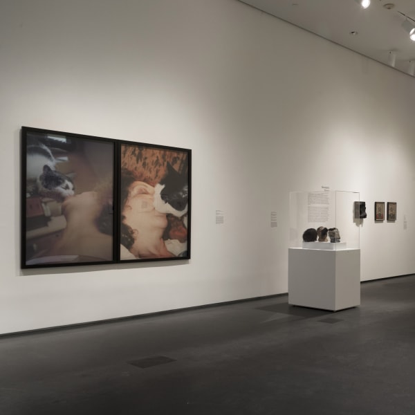 Installation view of Carolee Schneemann in Out of Place: A Feminist Look at the Collection at Brooklyn Museum, 2020