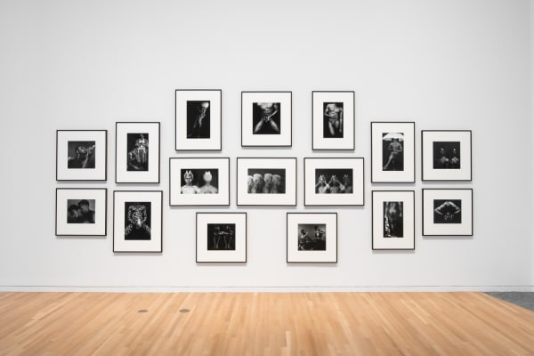 Rotimi Fani-Kayode: Tranquility of Communion, Installation view at the Wexner Center for the Arts. Image Courtesy of the Wexner Center of the Arts
