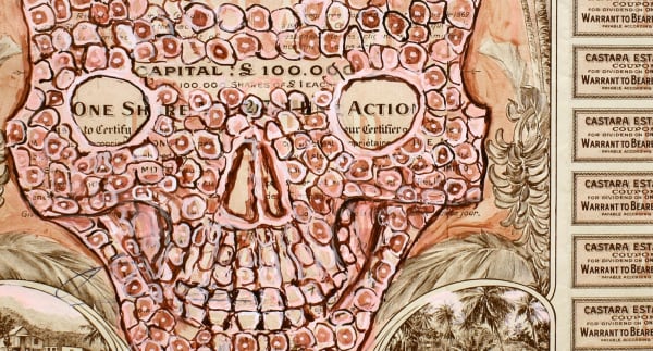 Detail of Hew Locke Castara Estates, 2012