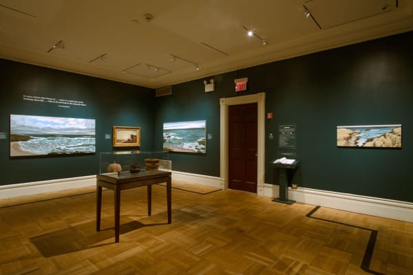 Installation view of Kay WalkingStick / Hudson River School, New-York Historical Society, 20 October 2023 - 14 April 2024