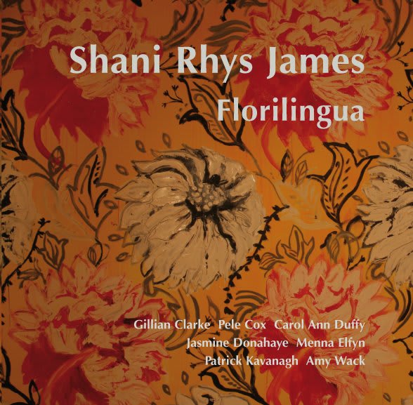 Shani Rhys James 'Florilingua' book