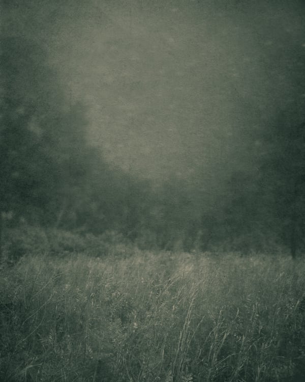 Ted Kincaid, Nocturnal Landscape 8311, 2015