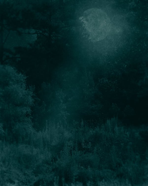 Ted Kincaid, Early Morning 228, 2015