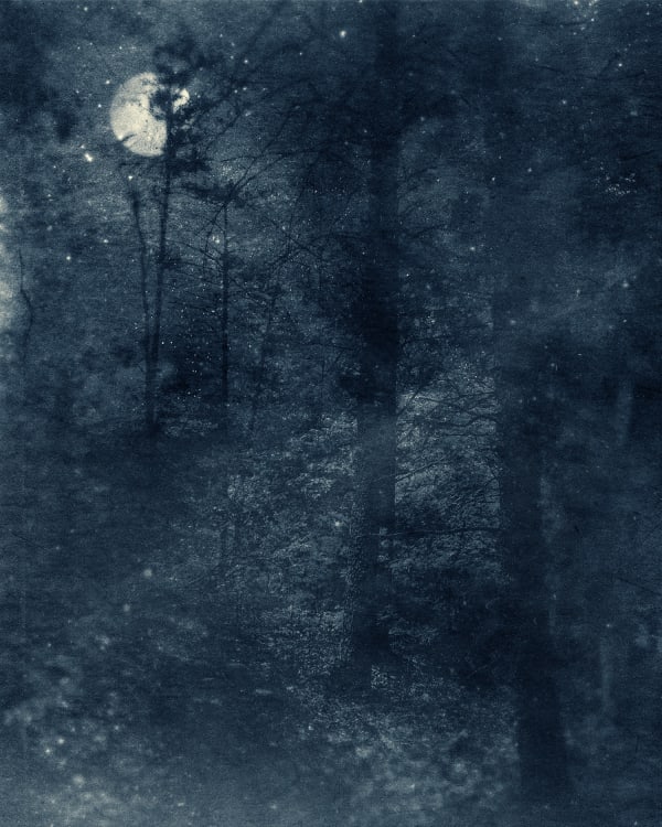 Ted Kincaid, Nocturnal Landscape 811, 2015