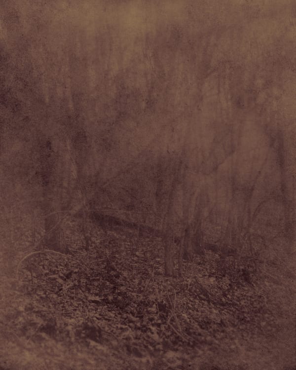 Ted Kincaid, Early Morning 522, 2015