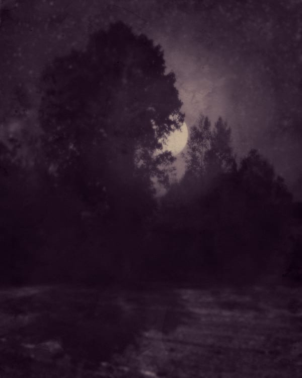 Nocturnal Landscapes / Early Morning