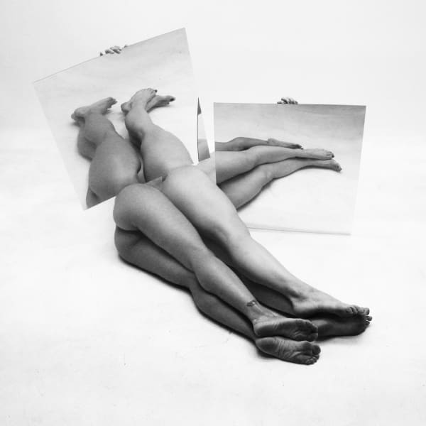 Hans Breder "Hybrids 01"
