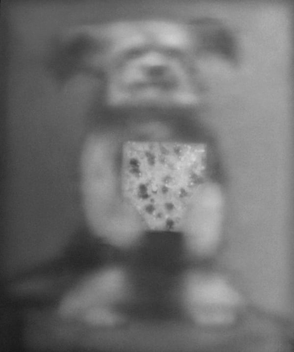 Sherry Kerlin: A Small Dog’s Secret Life as an Abstract Expressionist New York, NY