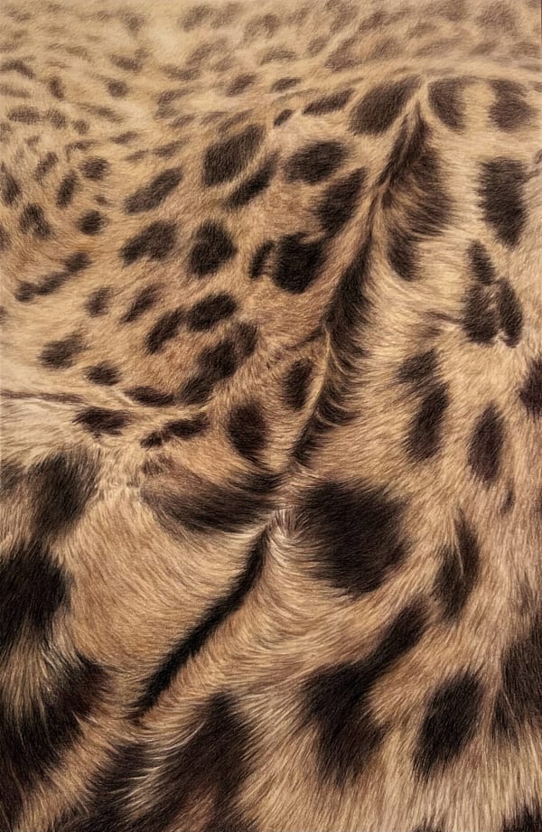 Claudia Coca: El origen del mundo 225 West 17th Street, New York