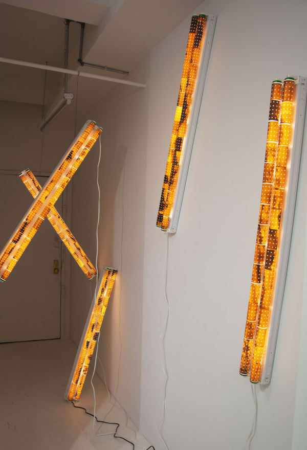 Zhang Yanzi Lost Again