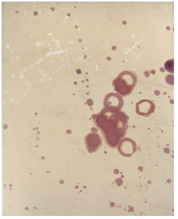 FIRST WE TAKE MANHATTAN WORKS SELECTED BY ISAAC ADEN + JOSEPH AYERS