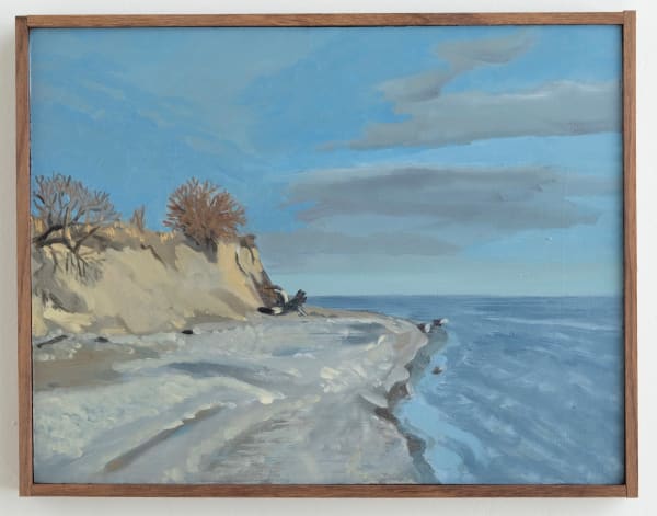 Lake Ontario 8 5 X 10 Purple Heart 2021