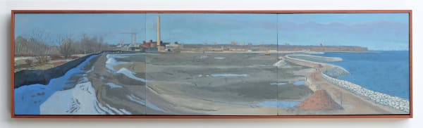 The Eastern Beaches Off The Leslie Spit 8 X 31 5 Paduk