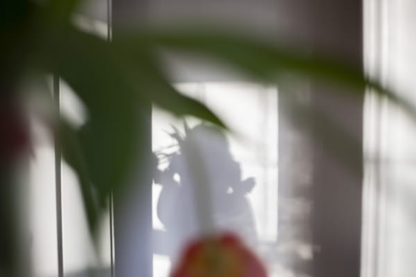 Sarah Dinnick The Body Terrain