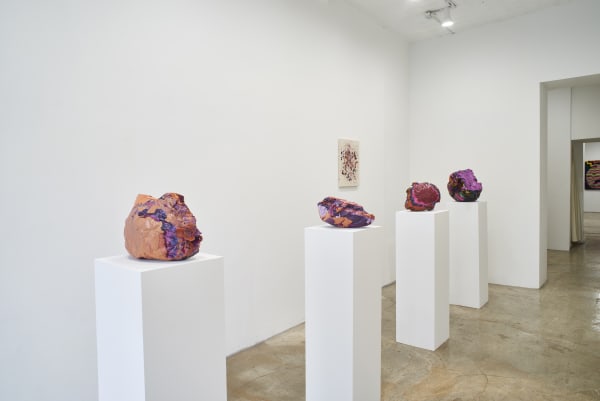 Courtney Childress Rock Steady Installation 1