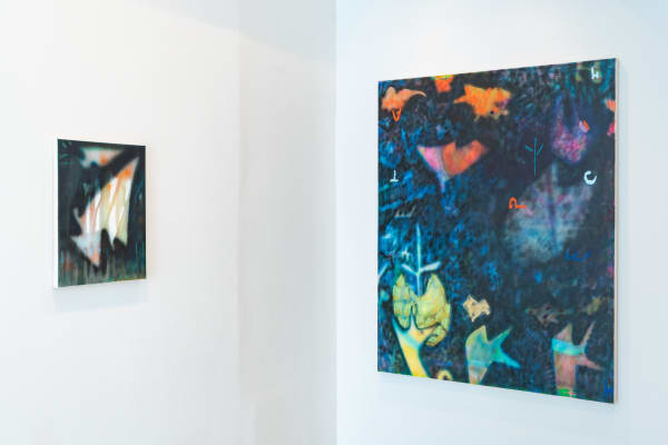 Catherine Haggarty An Echo S Glyph Massey Klein Gallery Installation 2