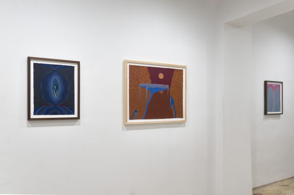 Lydia Baker Massey Klein Gallery In Between Installation 12