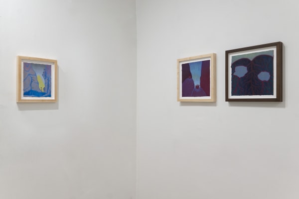 Lydia Baker Massey Klein Gallery In Between Installation 5