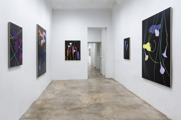 Aliza Morell Night Shift Massey Klein Gallery Install 1