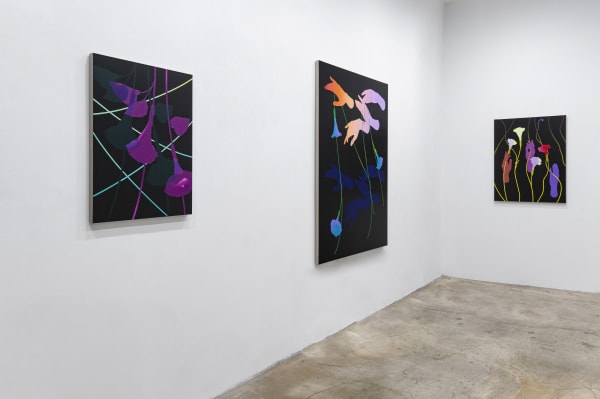 Aliza Morell Night Shift Massey Klein Gallery Install 2