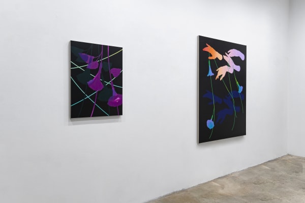 Aliza Morell Night Shift Massey Klein Gallery Install 3