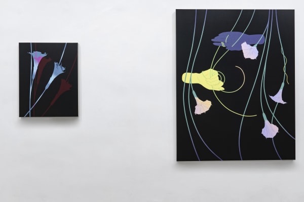 Aliza Morell Night Shift Massey Klein Gallery Install 8